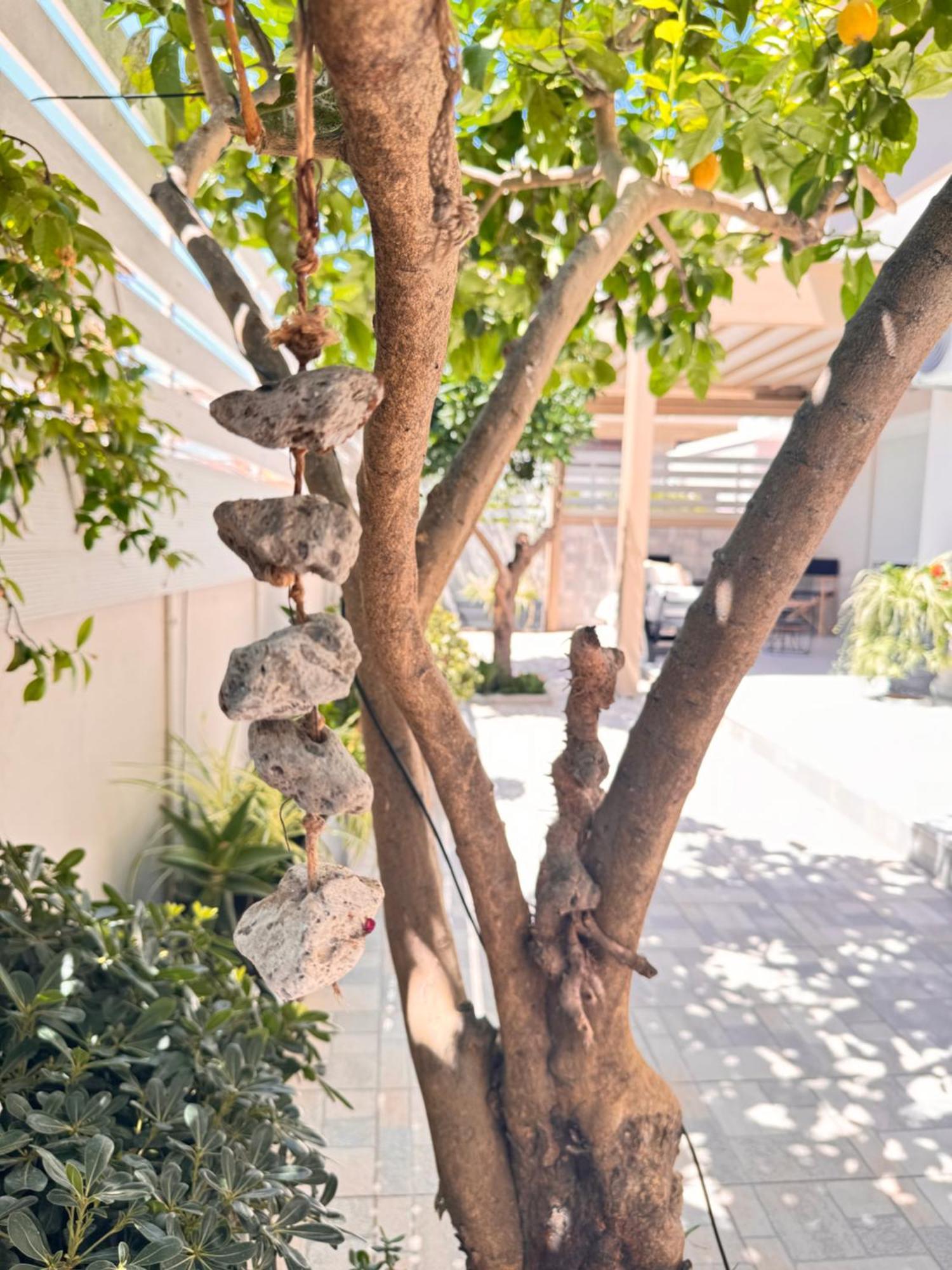 Ferienwohnung Petite Fleur Preveza Exterior foto